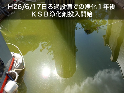 H26/6/17日ろ過設備での浄化1年後-KSB浄化剤投入開始