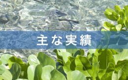 主な実績